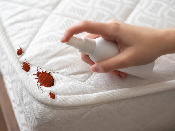 Best Indoor Pest Control  in Crocker, WA